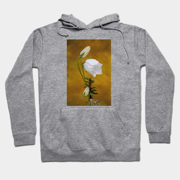 ‘Fairy Bellflower’ - dew-covered flowerhead with buds Hoodie by sleepingdogprod